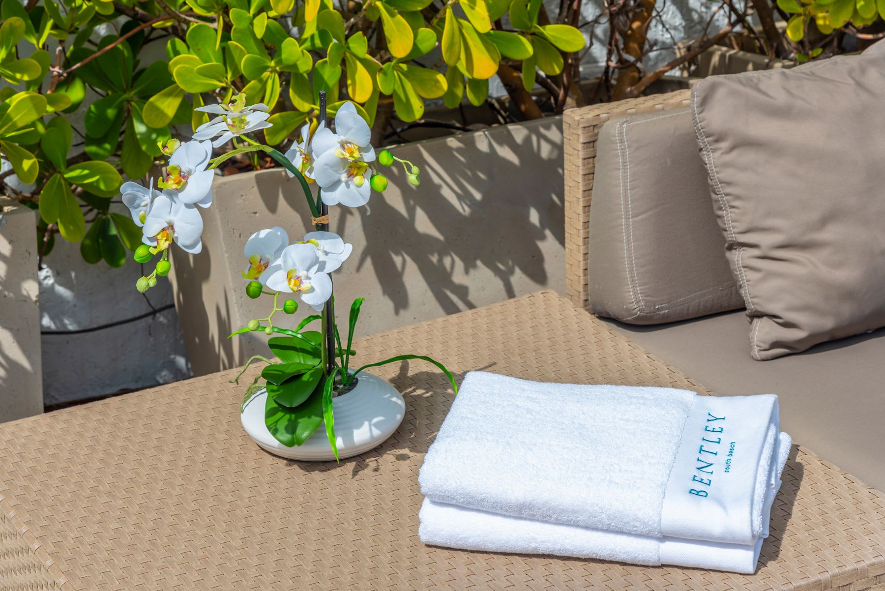 Bentley Hotel South Beach — photo 12 of 60