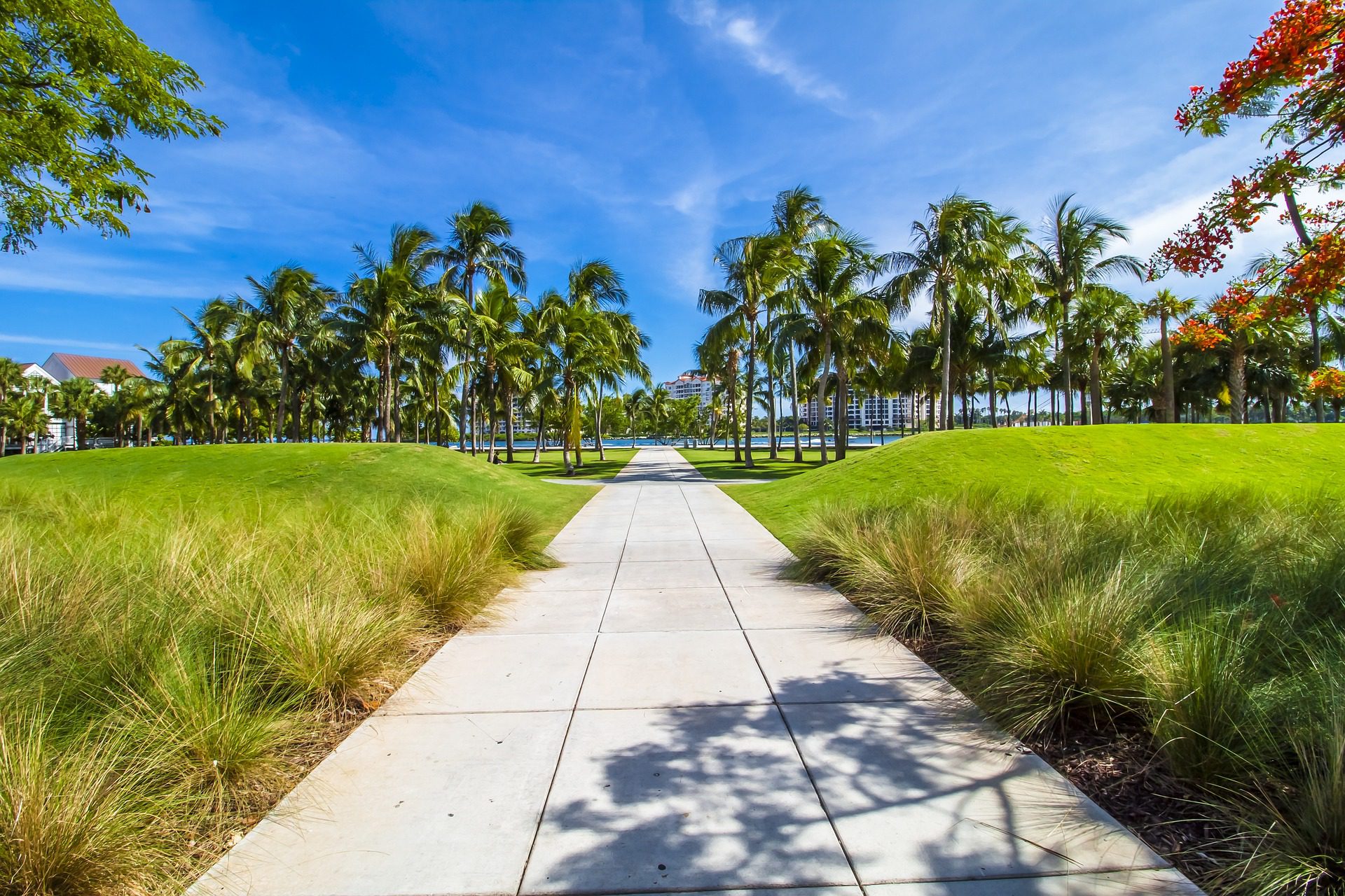 a pathway leading to a building with palm trees and grass on either side